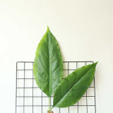 Decoration crafts cross border white palm leaf simulation flower factory family made flowers and green plants wholesale wedding