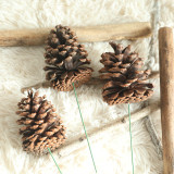 Home decoration pinecone natural dry flower fragrance material simulation flower manufacturer wedding handhold flower