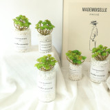 Manufacturer wholesale indoor green plant wall simulation flower micro landscape multi meat 24 fork immortal tree