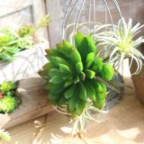 2021Fleshy plant Hibiscus lotus wall simulation flower manufacturer family decoration wedding plant