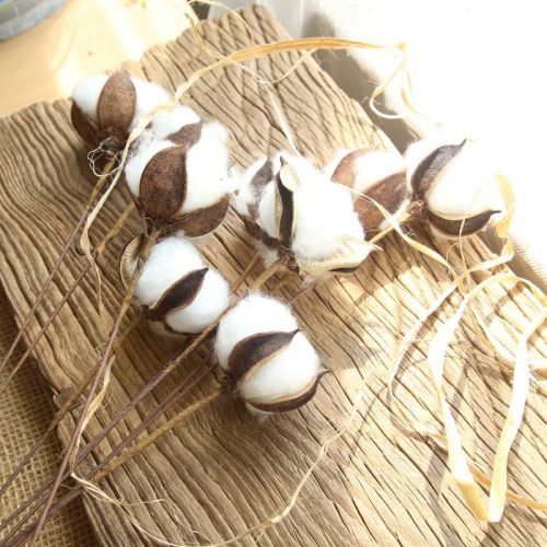 2021Imitation flower family decoration wedding holding flower wall cotton branch natural dry flower