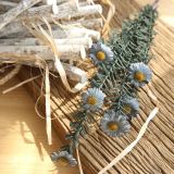 2021Imitation flower family decoration wedding holding flower road leading flower wall PE small daisy