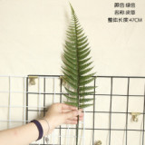 2021Fern Leaf Turtle back leaf simulation flower manufacturer family decoration wedding plant scattered tail sunflower