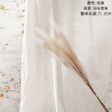 2021Manufacturer wholesale home decoration wedding artificial flower reed pampas grass