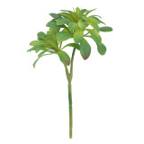2021Simulation flower black mage fleshy plant manufacturer family wedding holding flower wall plant wall
