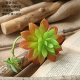 2021Succulent flowers with silent night lotus plant simulation flower manufacturer home decoration wedding plant