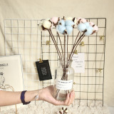 2021Imitation flower manufacturer family decoration wedding holding flower wall plant natural dry cotton