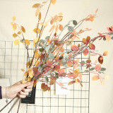 Manufacturer's family decoration wedding holding flowers, road leading flower wall  plant wall, wood catalpa leaf