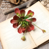 Simulated flower fleshy plant wedding family background flower wall photography green plant cross border Blue Lotus