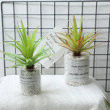 2021Manufacturer wholesale indoor plant wall simulation flower micro landscape fleshy big sword leaf