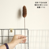 Natural pine nut dry flower cotton lotus simulation flower family decoration wedding hand held flower wall plant wall