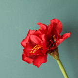 Imitation flower manufacturer fake flower wedding decorations ins wind cross border green plant wholesale Zhuding red