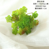Manufacturer wholesale indoor green plant wall simulation flower micro landscape multi meat 24 fork immortal tree