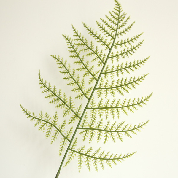 2021Cypress leaf imitation Flower Bonsai wedding decoration artificial fern leaf