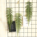 2021Fern Leaf Turtle back leaf simulation flower manufacturer family decoration wedding plant scattered tail sunflower