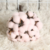 2021Imitation flower manufacturer family decoration wedding holding flower wall plant natural dry cotton