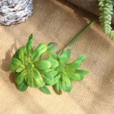 2021Simulation flower black mage fleshy plant manufacturer family wedding holding flower wall plant wall