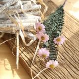 2021Imitation flower family decoration wedding holding flower road leading flower wall PE small daisy