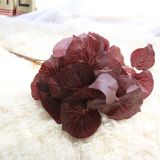 2021Manufacturer's simulated wall accessories simulated flower export green plant decoration 6 magnolia leaves