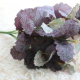 2021Manufacturer's green plant wall accessories simulation flower export green plant decorative leaves 7 mulberry