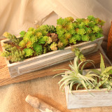 Manufacturer wholesale indoor green plant wall simulation flower micro landscape multi meat 24 fork immortal tree