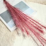 Simulated flower manufacturer's family dog tail decoration wedding holding flower road leading flower maltgrass