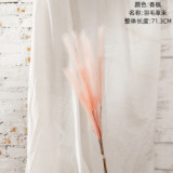 2021Manufacturer wholesale home decoration wedding artificial flower reed pampas grass