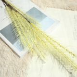 Simulated flower manufacturer's family dog tail decoration wedding holding flower road leading flower maltgrass