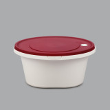 Super Hot Selling New disposable plastic round takeout high-end noodle soup bowl bento fast food box double deck