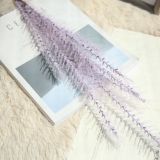 Simulated flower manufacturer's family dog tail decoration wedding holding flower road leading flower maltgrass