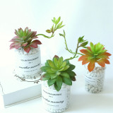 2021Succulent flowers with silent night lotus plant simulation flower manufacturer home decoration wedding plant