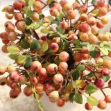 2021Wholesale simulation flower export harvest fruit berry with grass with flowers artificial flowers