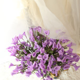 PE pastoral simulation flower manufacturer family decoration wedding holding flower wall plant Calla