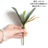 2021Phyllanthus imitation flower plant bonsai wedding decoration plant rose Phalaenopsis