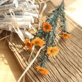 2021Imitation flower family decoration wedding holding flower road leading flower wall PE small daisy