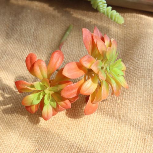 2021Simulation flower black mage fleshy plant manufacturer family wedding holding flower wall plant wall