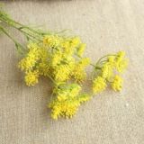 2021Lace foam simulation flower factory home decoration wedding bouquet flower road cited flower wall