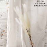 2021Manufacturer wholesale home decoration wedding artificial flower reed pampas grass