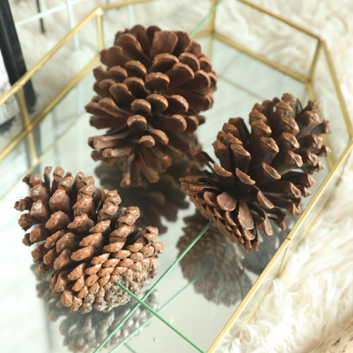 Home decoration pinecone natural dry flower fragrance material simulation flower manufacturer wedding handhold flower