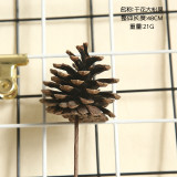 Natural pine nut dry flower cotton lotus simulation flower family decoration wedding hand held flower wall plant wall