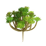 Manufacturer wholesale indoor green plant wall simulation flower micro landscape multi meat 24 fork immortal tree