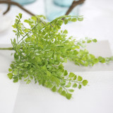Manufacturers wholesale simulation flowers wholesale false flowers and flowers eucalyptus grass wedding decoration money leaf