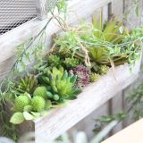 2021Indoor green plant wall simulation flower micro landscape multi meat green plant pepper fruit