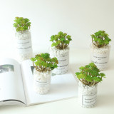 Manufacturer wholesale indoor green plant wall simulation flower micro landscape multi meat 24 fork immortal tree