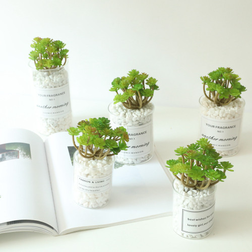 Manufacturer wholesale indoor green plant wall simulation flower micro landscape multi meat 24 fork immortal tree