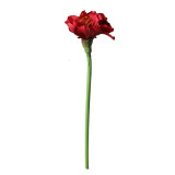 Imitation flower manufacturer fake flower wedding decorations ins wind cross border green plant wholesale Zhuding red