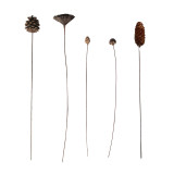 Natural pine nut dry flower cotton lotus simulation flower family decoration wedding hand held flower wall plant wall