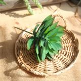 2021Fleshy plant Hibiscus lotus wall simulation flower manufacturer family decoration wedding plant