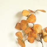 2021Manufacturer's wedding holding flower rose wall home decoration round copper leaf imitation flower