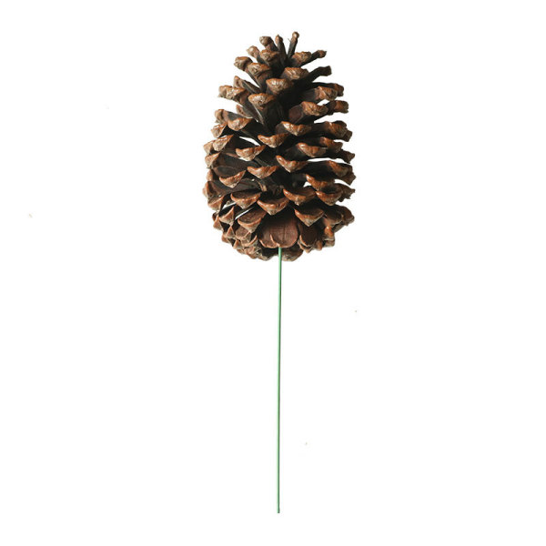 Home decoration pinecone natural dry flower fragrance material simulation flower manufacturer wedding handhold flower